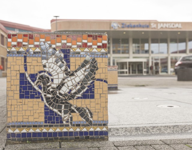 Profiel, besturing en structuur van de organisatie