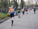 Halve Marathon van Harderwijk 2024_14