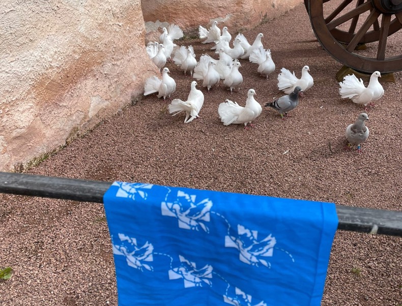 Foto's wandelaars- en fietsers_63